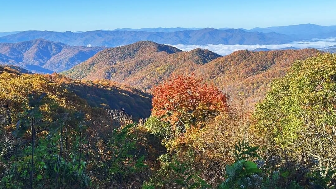 Layered blue ridge mountains at sunrise